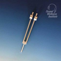 Tuning Fork - 111Hz - Weighted